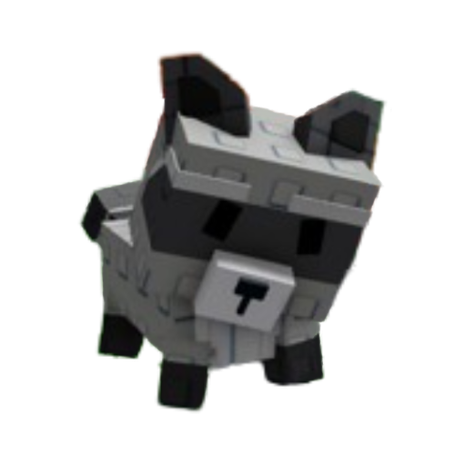 Raccoon
